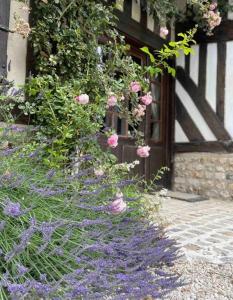 Maisons de vacances cottage maison de campagne Normandie house Normandy : photos des chambres