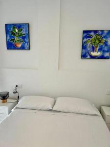 Costa Niza By Solymar Holiday