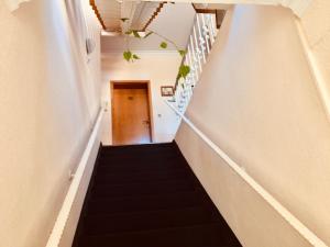 Zum Jungen Fritz Gast- Logierhaus