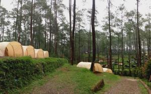 Be Glamping Lembang