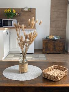 Centro apartments Rokiškis