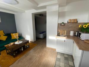 Centro apartments Rokiškis