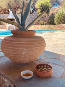 Villa Batsheva Private and Detached