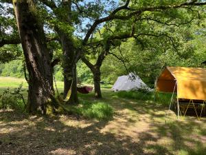 Lickham Bottom Camping