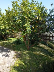 Casa Vacanze Diamante