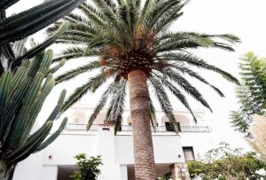 Masia Botargo 9 hab, 8 baños, piscina, porche