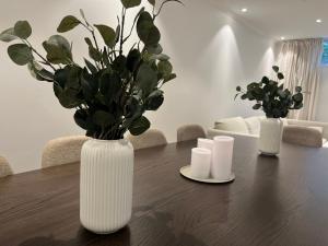 The Scandic Luxe- Stockholm Arlanda