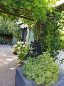 Natuurbungalow Het Koolmeesje