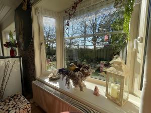 Natuurbungalow Het Koolmeesje