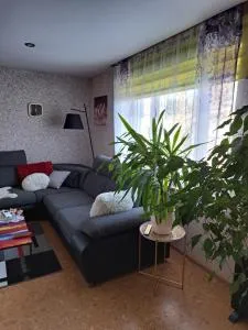 MetsaKodu - Suislepa