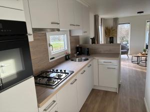 Chalet Lutafaro near beach Petten