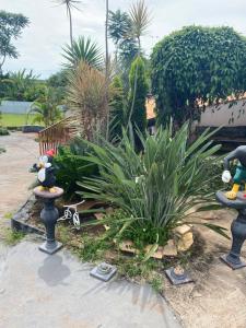 Sabor de Mel 2Chacara