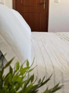 Salentìa by JDvacanze