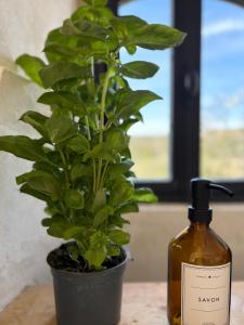 La Magnanerie Maison Provençale