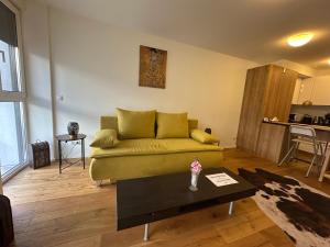 Beauty Apartment Erlachgasse