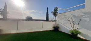 Olivar de Gines a un paso de Sevilla