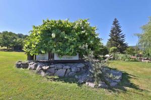 Spacious apartment, balneo and garden