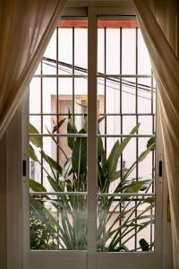 GoToSeville San Bernardo