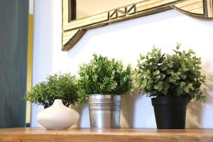 Appartements Plain pied cosy a 20 minutes de bordeaux - Le Clos Montichamp : photos des chambres