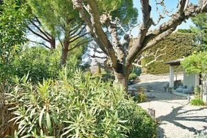 Villas La Villa Ulysse : photos des chambres