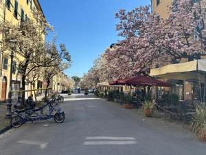 Casa corte degli olivi 1