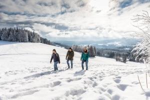 Ferienwohnungen Uhren Allgaier