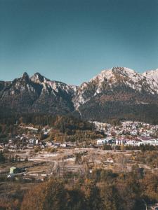 Moon Montana Busteni