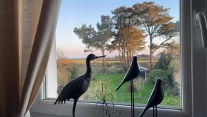 Sejours chez l'habitant Korrigane : photos des chambres