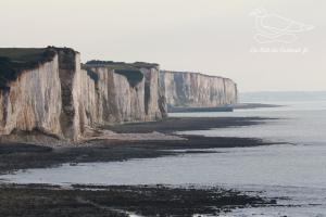 Appartements Gite Oasis Ault - Cine, Balneo & Confort a la Mer : photos des chambres