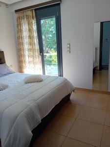 Cactus luxury apartment Oreoi