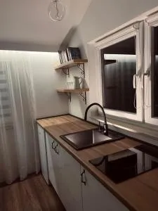 Stan Maric - Goranci