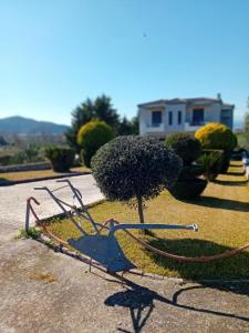 Cactus luxury apartment Oreoi