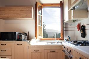 Olive Tree Apartment