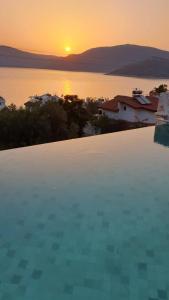 Captivating Casa La Calypso