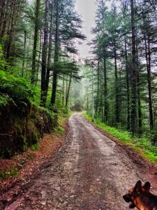 Snowind cottages & villa An offbeat escape