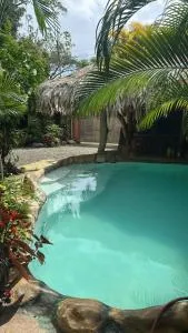 Cahuita Vibe - Tuba Creek