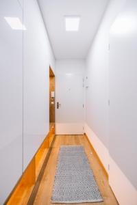 Katka Apartment in the old town