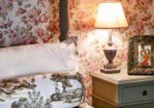 Tudor Romance- a historic manor house for holiday and corporate stays