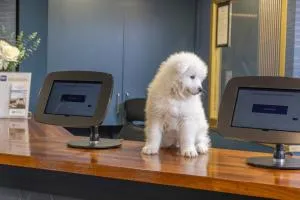 Hotel St Pierre, Sure Hotel Collection by Best Western - West Bretton