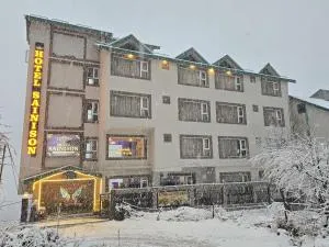 Hotel Sainison Manali - Jagatsukh