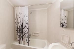 Cozy studio 300m from the beach and city center, free parking