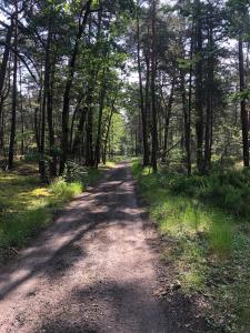 Maisons de vacances Rustic Forest House, Barbizon : photos des chambres