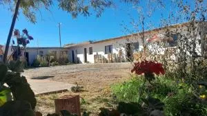 Malbones cachi - 卡奇