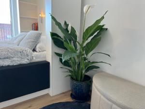 APARTMENT Blue Heaven