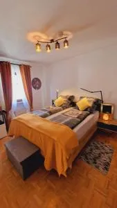 Merziger Fußgängerzone - 梅尔齐希