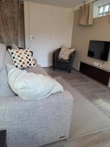 Maisons de vacances L'Atelier de Claire : photos des chambres