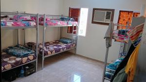 Cozy Vibes Hostel