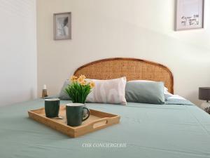 Appartements La Baliere T3 renove terrasse 20min du Puy duFou : photos des chambres