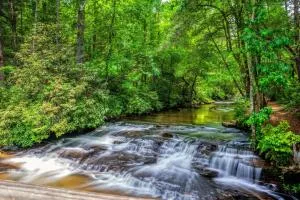 The Cascades Inn-Waterfall Retreat - Cornelia