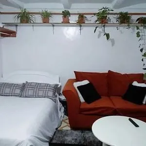 The Cozy Nest studio - 87 Junction - Kanyongon